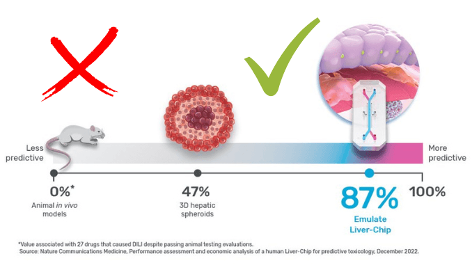 Fegato umano su chip per la tossicologia predittiva: funziona meglio degli animali (Isde News)