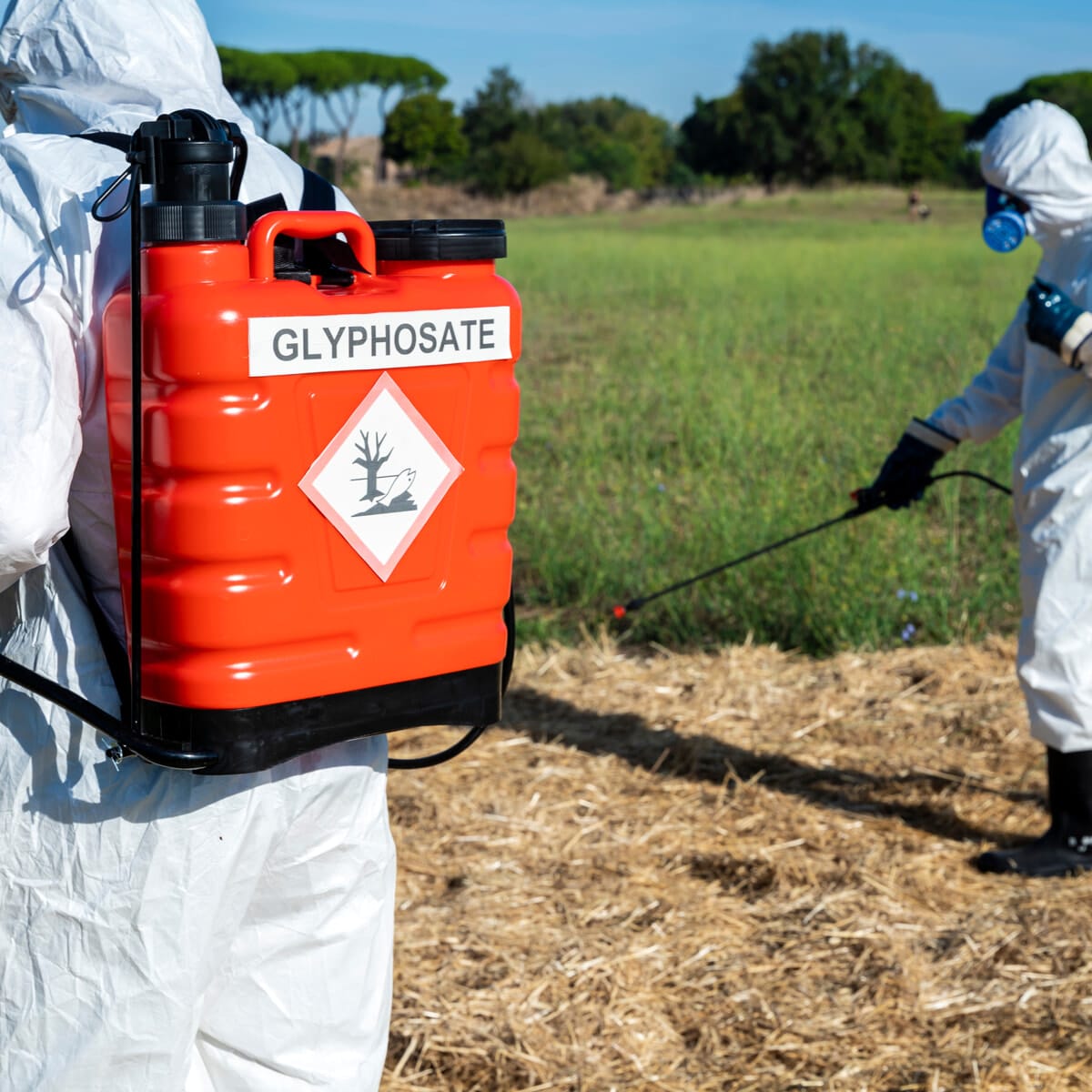 PAN Europe porta il caso del glifosato in Tribunale (Isde News)