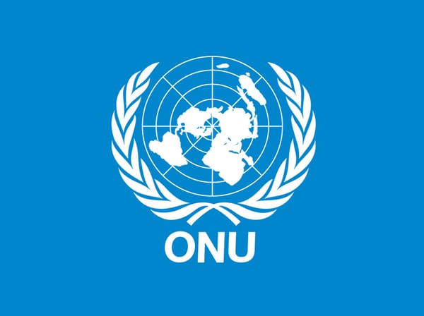 Comitato Onu: i metodi di guerra di Israele “corrispondono alle caratteristiche del genocidio”