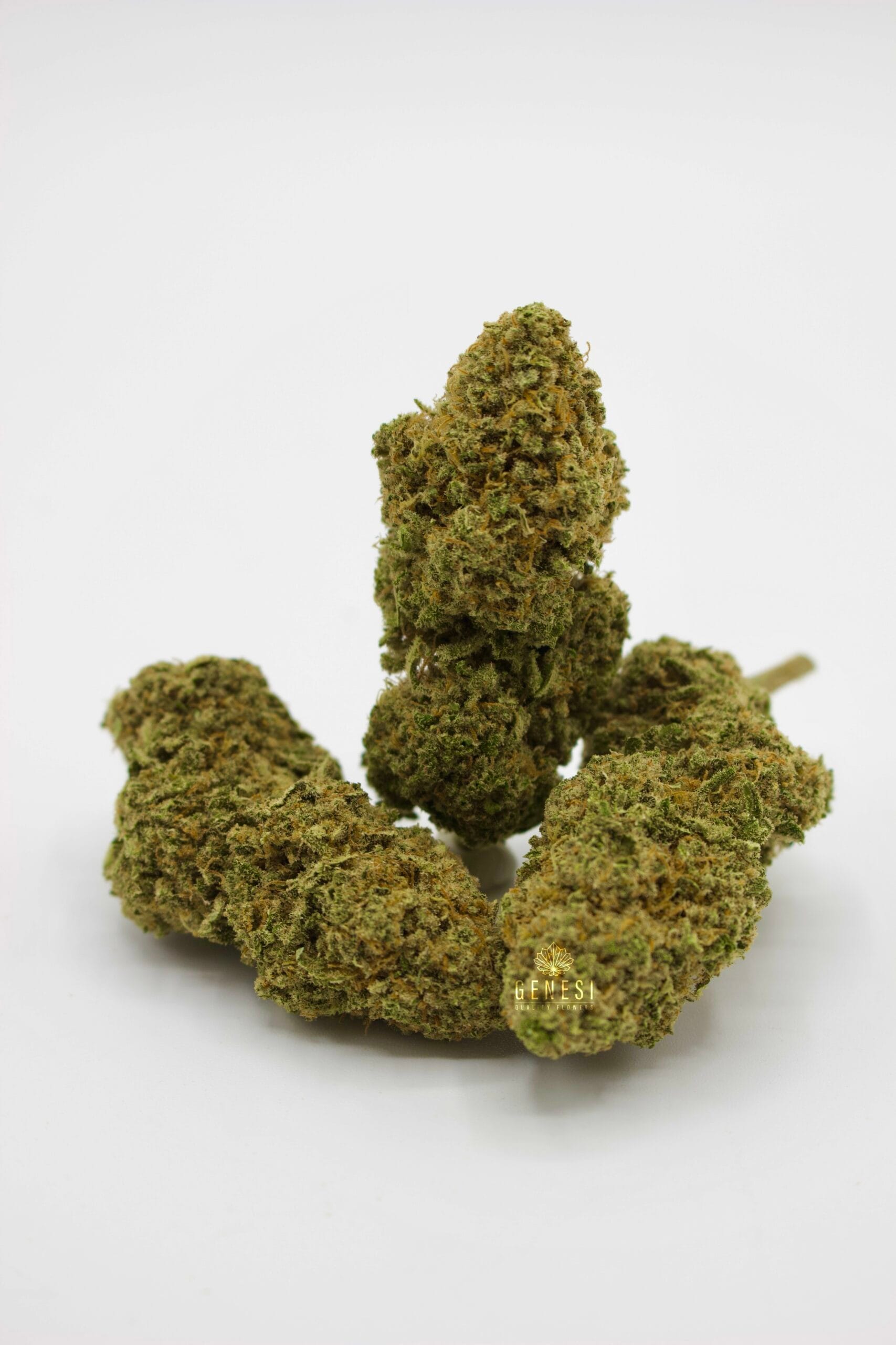 Il Decreto Sicurezza rende illegale la cannabis light. A rischio migliaia di piccole imprese e posti di lavoro