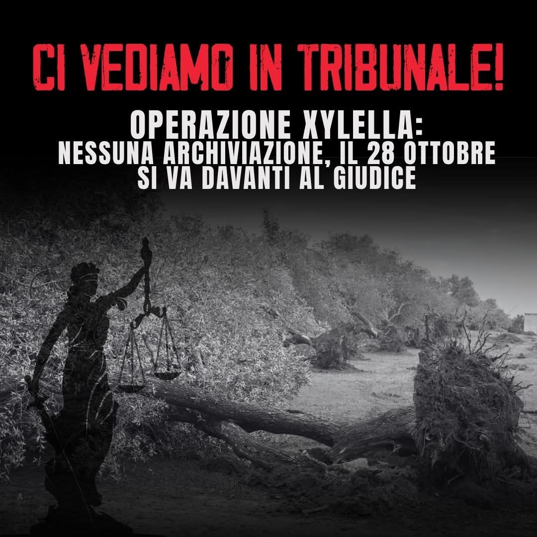 “Operazione Xylella”, il 28 ottobre udienza a Bari. Nessuna archiviazione disposta dal Gip