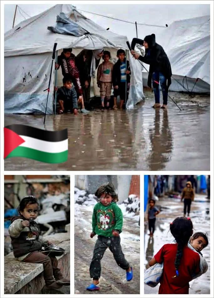 𝗟’𝗶𝗻𝘃𝗲𝗿𝗻𝗼 𝘂𝘀𝗮𝘁𝗼 𝗰𝗼𝗺𝗲 𝗮𝗿𝗺𝗮, 𝗹’𝗮𝘀𝘀𝗲𝗱𝗶𝗼 𝗶𝗺𝗽𝗼𝘀𝘁𝗼 𝗱𝗮 𝗜𝘀𝗿𝗮𝗲𝗹𝗲.𝗚𝗮𝘇𝗮 𝗺𝘂𝗼𝗿𝗲 𝗱𝗶 𝗳𝗿𝗲𝗱𝗱𝗼 𝗲 𝗳𝗮𝗺𝗲. 𝗖𝗼𝗻𝗴𝗲𝗹𝗮𝘁𝗶, 𝗮𝗳𝗳𝗮𝗺𝗮𝘁𝗶, 𝗮𝘀𝘀𝗮𝘀𝘀𝗶𝗻𝗮𝘁𝗶