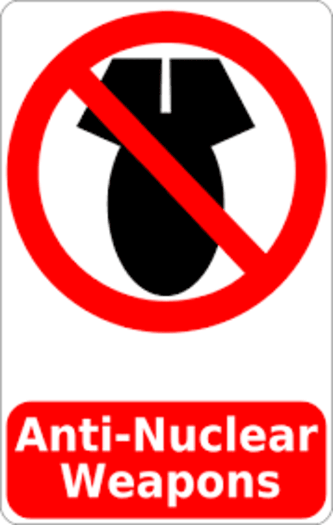 Nel 1995 il Trattato Onu di non proliferazione nucleare