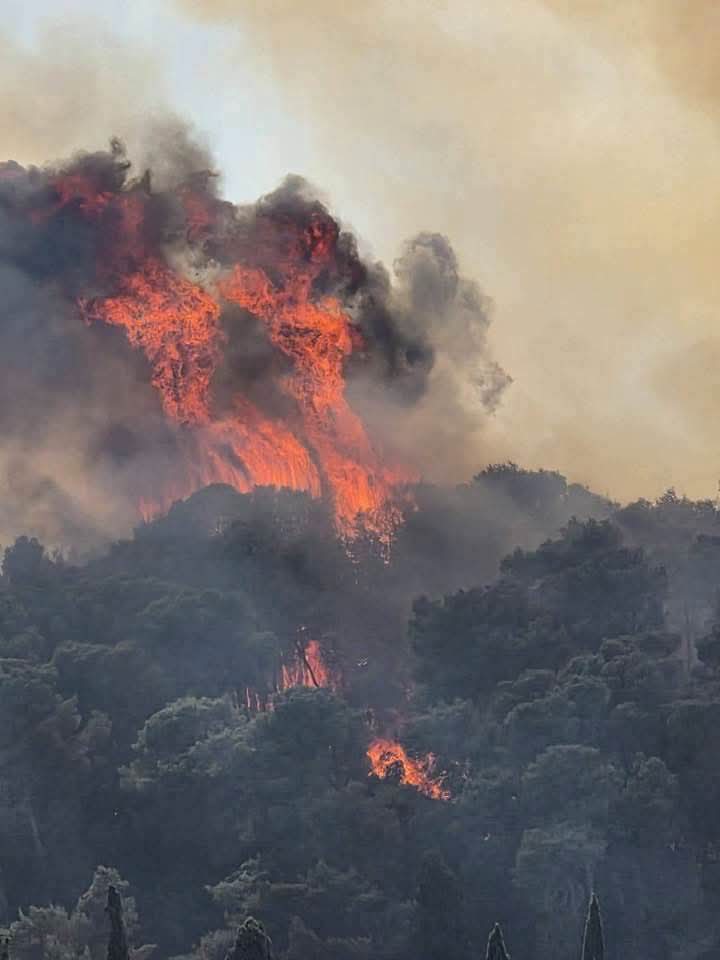 L’estate salentina degli incendi. Serra di Ruffano, danni e costi per la collettività