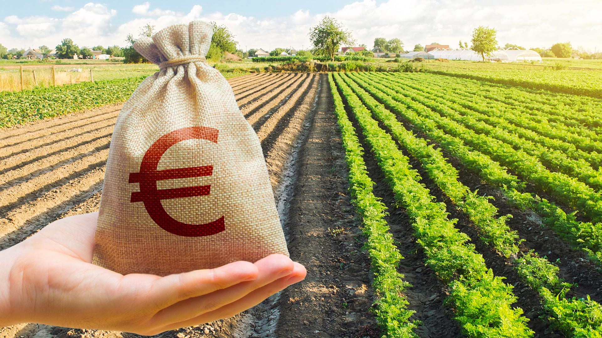 Opinioni/Un’Europa matrigna verso cittadini e agricoltori